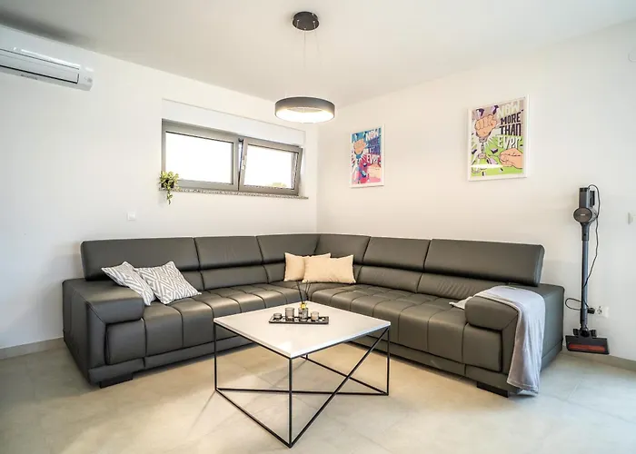 Ibiza شيبينيك